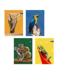 Zo�it A5, matn�, 40 listov, Zoo, 70 g/m2