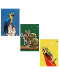 Zo�it A4, matn�, 40 listov, Zoo, 70 g/m2