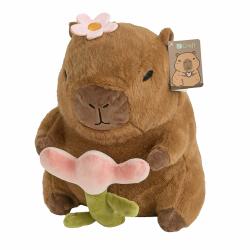 Plyov Hraka - Kapybara s Kvetom