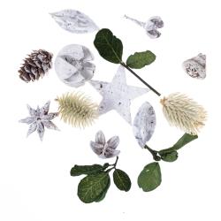 Dekoran ovocie a listy